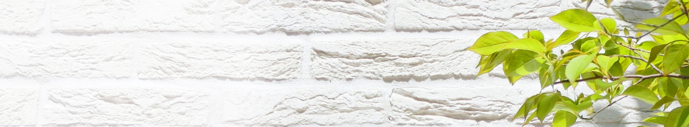 プライバシーポリシー